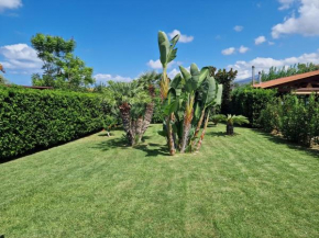 Casa Vacanze Giovanna Campofelice Campofelice Di Roccella